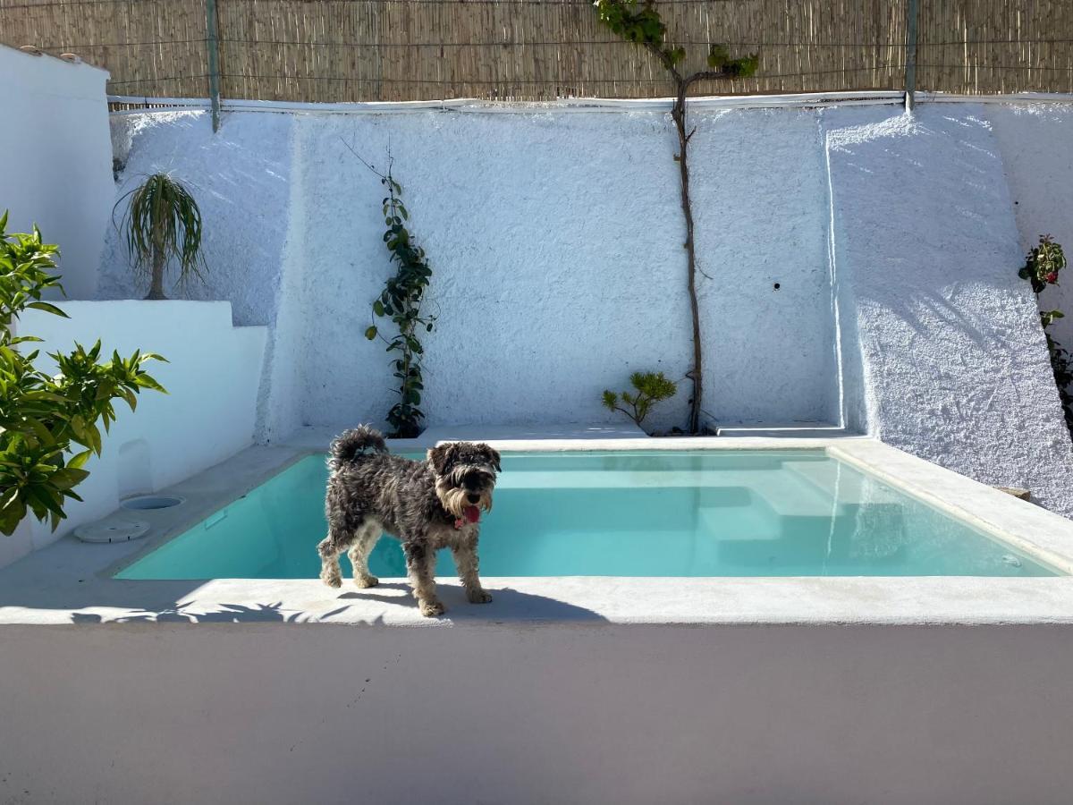 Holiday home El Majuelo 2 Nijar